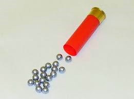 16 Gauge Buckshot (2)